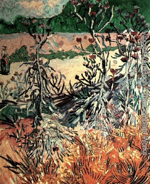 Vincent Van Gogh - Thistles