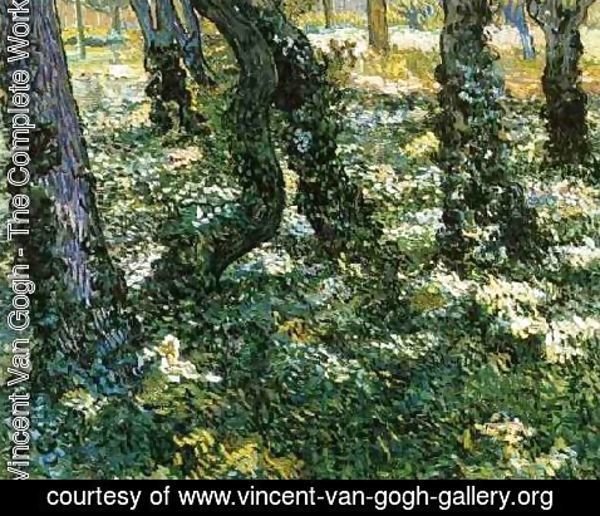 Vincent Van Gogh - Tree Trunks With Ivy