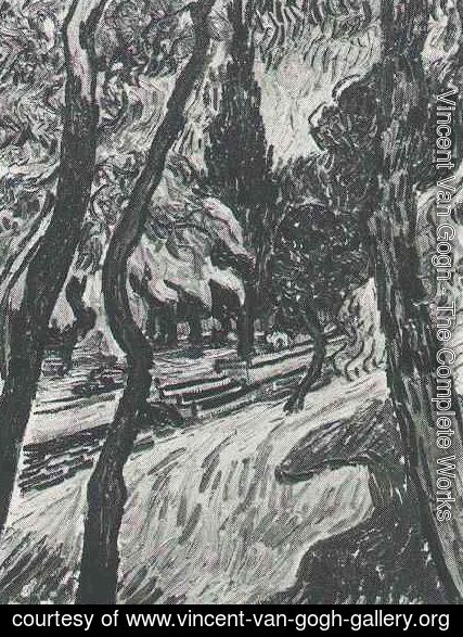 Vincent Van Gogh - Trees In The Garden Of Saint Paul Hospital III