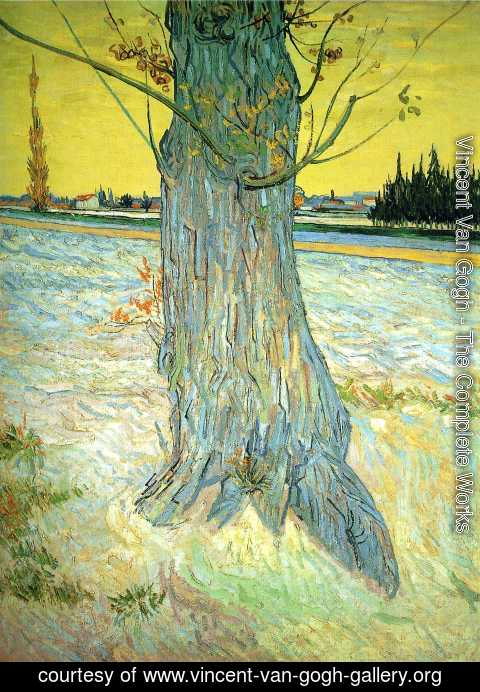 Vincent Van Gogh - Trunk Of An Old Yew Tree