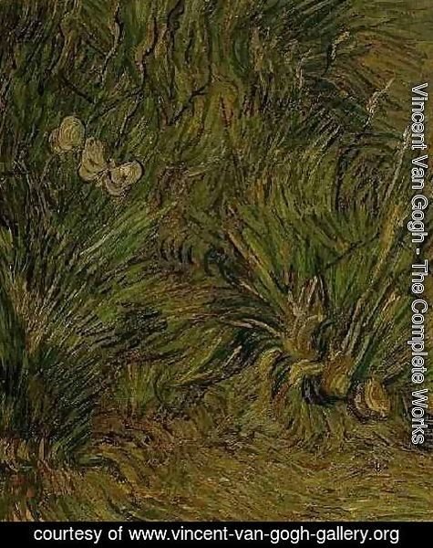 Vincent Van Gogh - Two White Butterflies