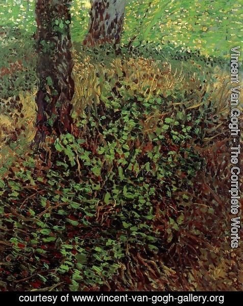 Vincent Van Gogh - Undergrowth