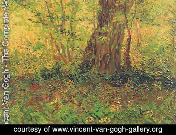 Vincent Van Gogh - Undergrowth II