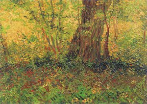 Vincent Van Gogh - Undergrowth II