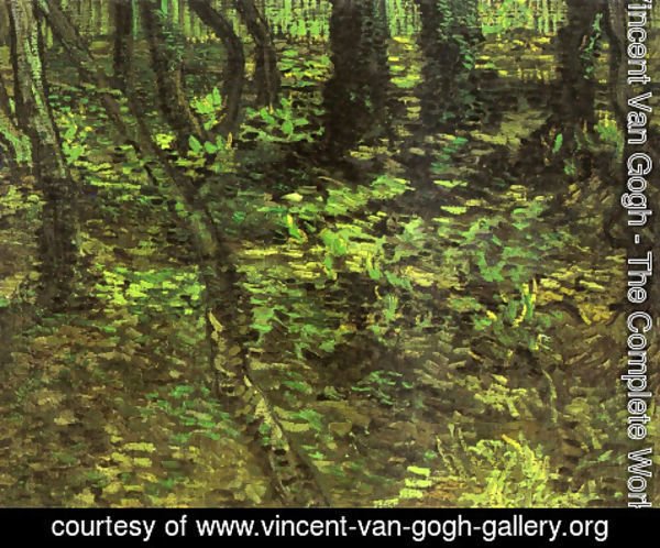 Vincent Van Gogh - Undergrowth With Ivy