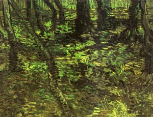 Vincent Van Gogh - Undergrowth With Ivy