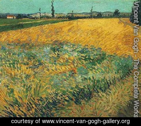 Vincent Van Gogh - Wheat Field With The Alpilles Foothills In The Background