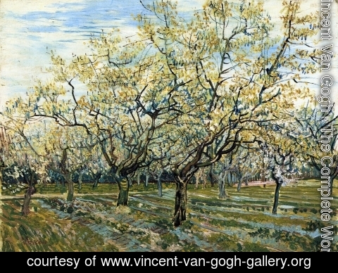 Vincent Van Gogh - The White Orchard