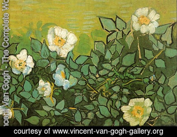 Vincent Van Gogh - Wild Roses