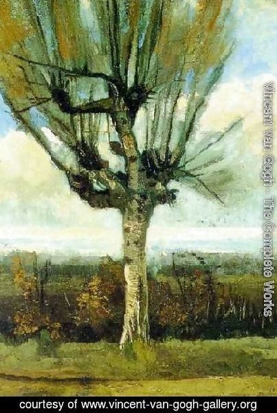 Vincent Van Gogh - The Willow
