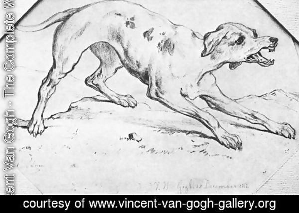 Vincent Van Gogh - Dog